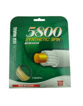 TAAN/泰昂 SYNTHETIC SPIN 5800 网球线/粗旋强控战线