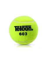 Teloon/天龙 603 网球 耐打 弹性好 训练用球 12只装