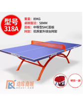 双鱼室外乒乓球台318A 乒乓球桌 标准室外户外家用球台