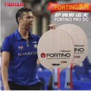 挺拔薩姆索諾夫內(nèi)置纖維Fortino PRO DC INSIDE 佛迪諾乒乓球拍底板