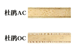 更換乒乓球器材真的可以提升勝率嗎?