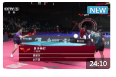 2021乒乓球世乒赛-大满贯手机比赛视频：樊振东vs全开源