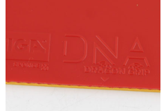 斯蒂卡DNA赤龙、皇朝ZGR、雷鸣ZGR、骄猛中国光外套粘性胶皮试打对比