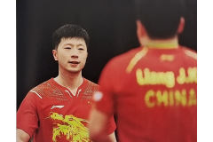 2013直通德班世乒赛中国乒乓球队选拔赛比赛详细介绍：马龙超出想象