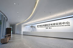 林丹攜手YONEX官宣大動作 全國首家DAN CLUB·YONEX深圳旗艦店成立