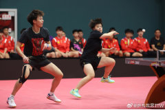 中国乒乓球队混合团体世界杯选拔赛:林高远、王艺迪获得参赛名额
