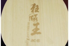 紅雙喜向鵬狂飚王acB底板穩(wěn)定連續(xù)輸才是王道