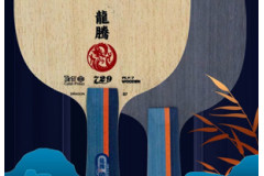 簡評729龍騰S7兩面異質乒乓球板性能解讀：青訓球拍新玩法