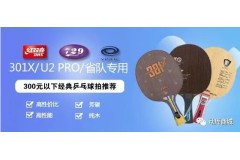 300元高性價比乒乓球拍底板推薦！有純木有碳素