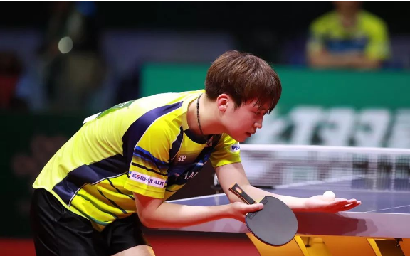 郑荣植使用的骄猛冰淇淋乒乓球底板介绍买zlc送alc